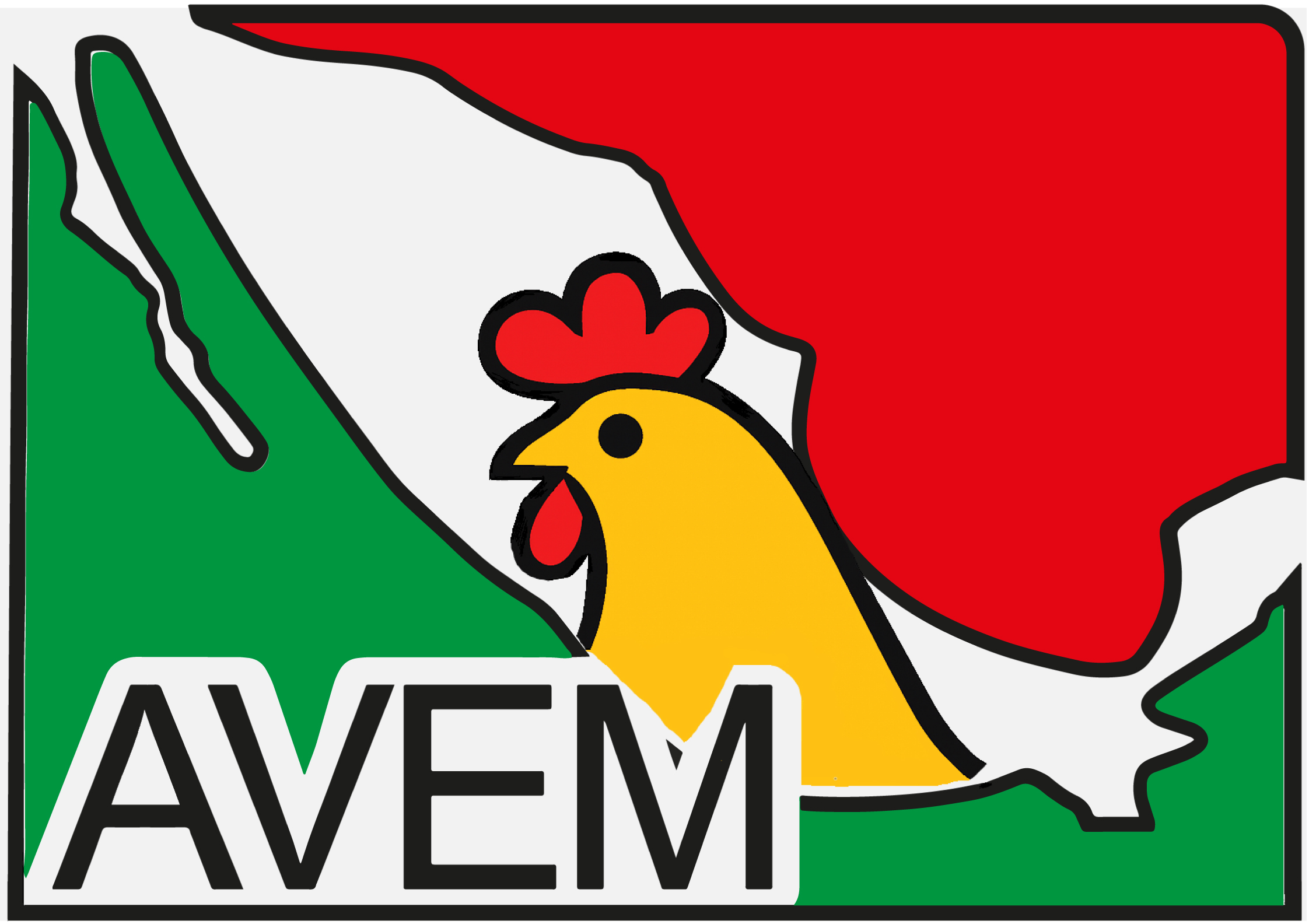 Logo AVEM